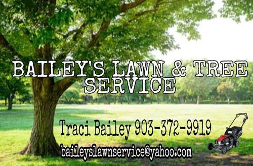baileys lawn and tree service serving east texas area 