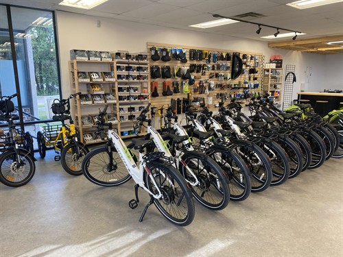 Gallery Image IMG_2533.jpg