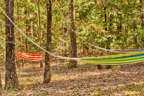 Hammock hangouts at Cabin, Lodge and in meadow, park, toddler play + hidden in trees. 