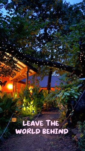 Nature & Art @ Every Turn with magical lighting