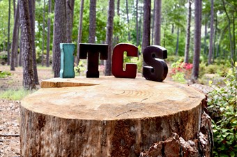 Interpreting Training and Consulting Services