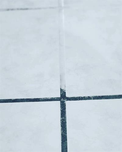 Tile Cleaning