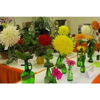 Hiawassee Garden Club Meeting