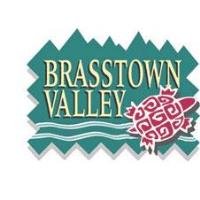 BBQ Championship & Winter Throw Down at Brasstown Valley Resort & Spa