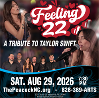 Feeling 22 - Taylor Swift Tribute
