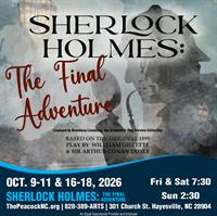 Sherlock Holmes: The Final Adventure