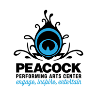 Chi-Town Transit Authority - Chicago Tribute