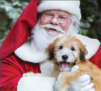 Santa Paws - Pet Pictures with Santa