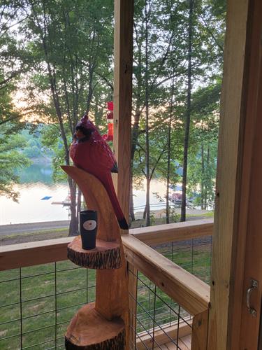 Our mascot is the luckiest bird on the lake. He gets to watch every sunset from our screened in porch.