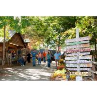 Visit Lake Chatuge this October for Foliage, Festivals and Fall Fun