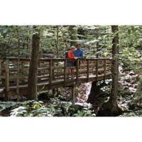 Explore Safely: A Hiking Safety Guide for Our Trails
