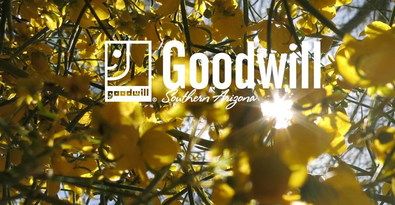 Goodwill Industries of Southern Arizona, Inc. Goodwill Industries of Southern Arizona, Inc.