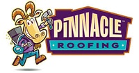 Pinnacle Roofing Group LLC