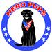Hero Pups: Boots n Bulls