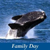 FAMILY: Whale Tales at the John Paul Jones House