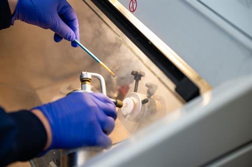 Gallery Image DSH-002.jpg