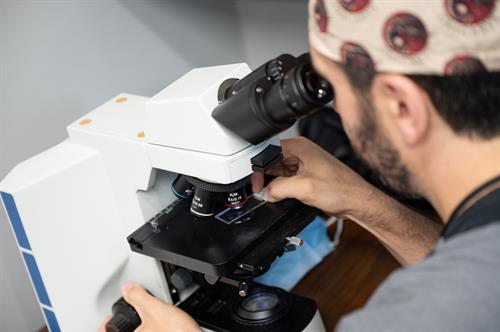 Gallery Image DSH-005.jpg