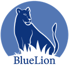 What is Outsourced HR? with Blue Lion LLC