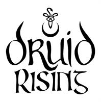 Druid Rising, LLC