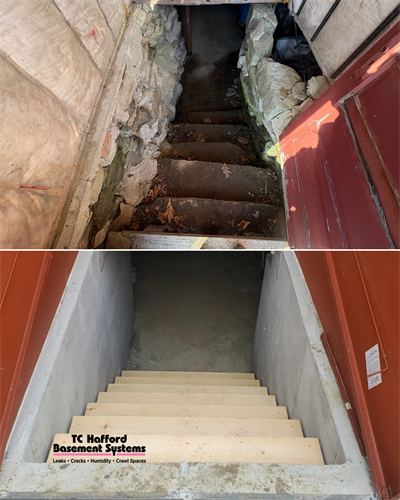 Bulkhead Before & After