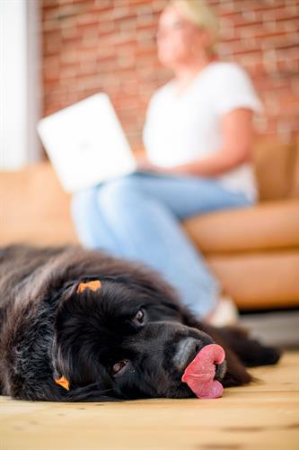 Bella takes her role in quality control very seriously.