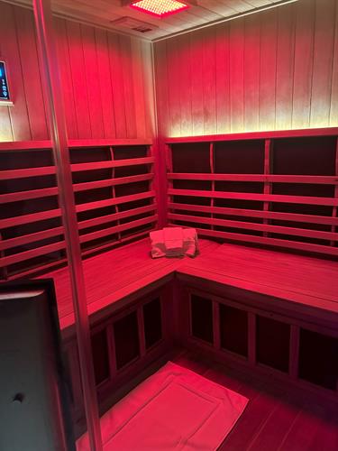 Hampton Infrared Sauna 
