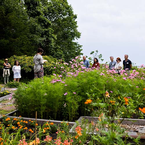 A community day walk and talk through the Wild Knoll Foundation garden.