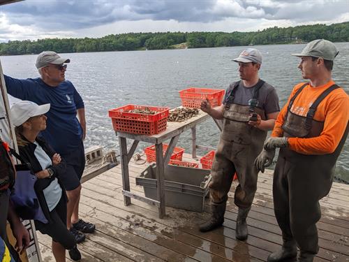 Oyster Farm Tour