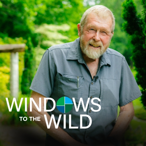 Windows to the Wild host Willem Lange