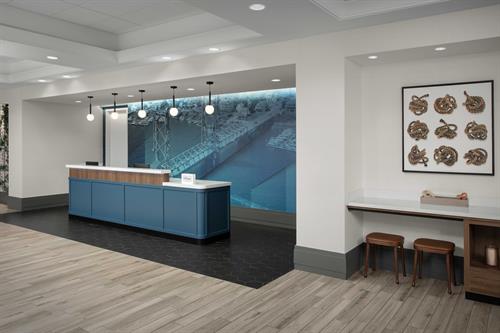 Reception Desk