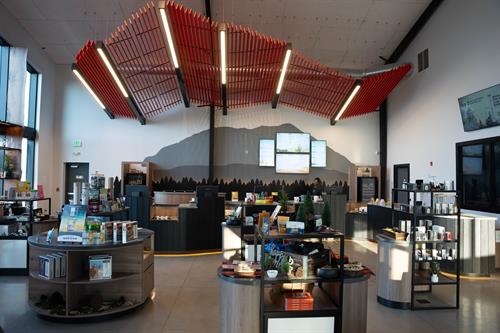 Gallery Image DSC01410-Enhanced-NR_(2).jpg