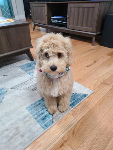Winnie, Barketing Manager