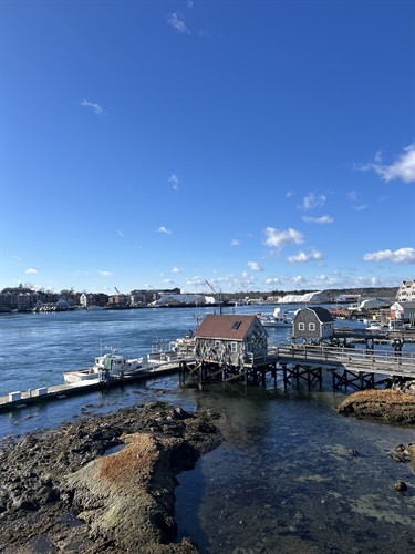 Coastal River Views