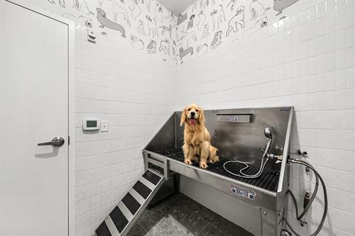 Gallery Image DSC06903.jpg