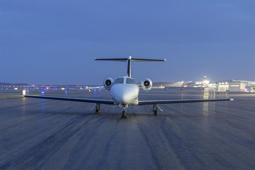 Gallery Image Mustang_at_Twilight.jpg