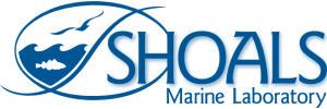 Shoals Marine Laboratory 