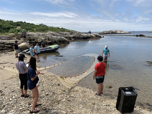 Intertidal work with students