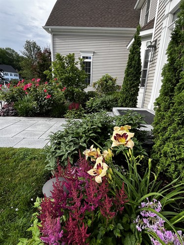 Gallery Image IMG_8106.jpg