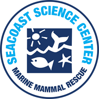 Celebrate Seacoast Science Center Marine Mammal Rescue at Seacoast Seltzer collaboration release party on Thursday, Dec. 5