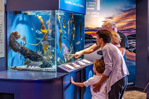 Seacoast Science Center offers live animal aquariums
