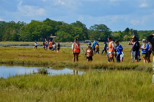 Seacoast Science Center hosts an annual BioBlitz in September. A great event where visitors and experts set out in Odiorne Point State Park to discover and catalogue the Park's biodiversity, including plants, animals, insects, etc.