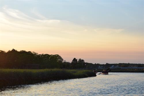 There's so much beauty to discover along the NH Seacoast and even more to learn about our coastline and how to protect and preserve it. 