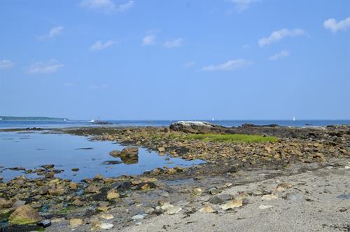 Magic tide pools in Odiorne Point State Park