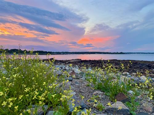 We can't wait for you to visit Seacoast Science Center and see for yourself!