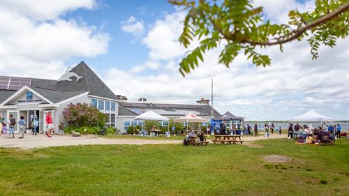 Seacoast Science Center offers community events along our coast in Odiorne Point State Park  offering an opportunity to learn about our coast and the natural world.