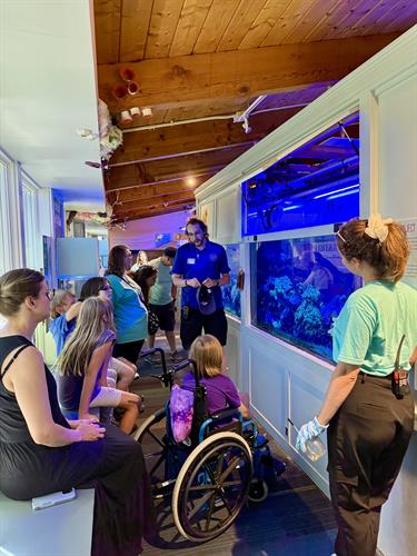 Daily visitor programs at Seacoast Science Center allow visitors to learn about our natural world and live animals of the Gulf of Maine and beyond