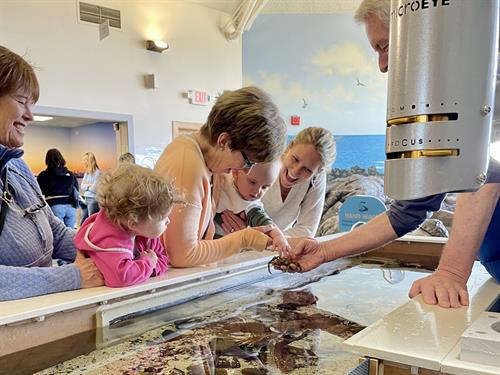 Seacoast Science Center's interactive exhibits include a touch tank, where visitors can get up close to the animals found on our rocky shore.