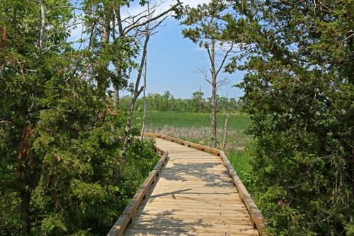 Boardwalk at the Discovery Center