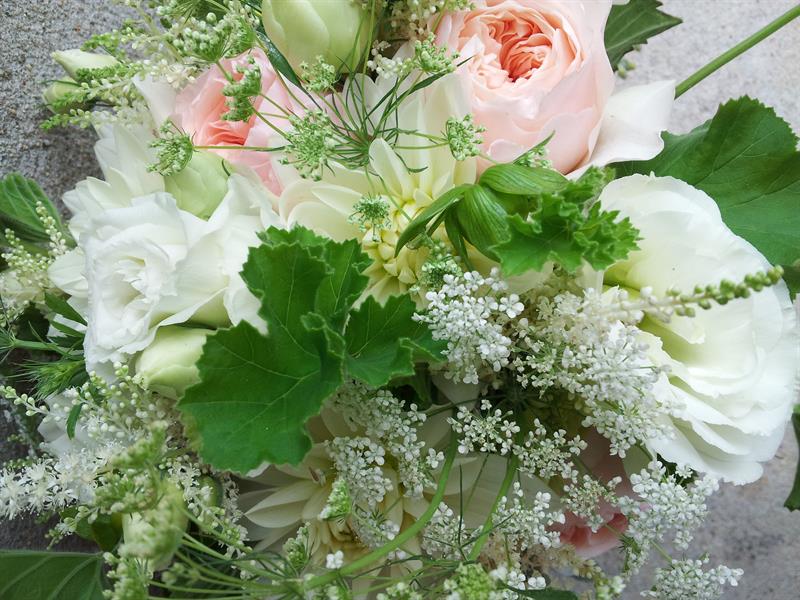 Flowers by Leslie Flowers by Leslie