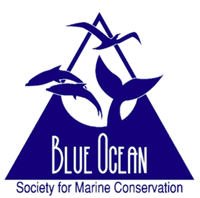 Blue Ocean Society Fundraiser at Lure